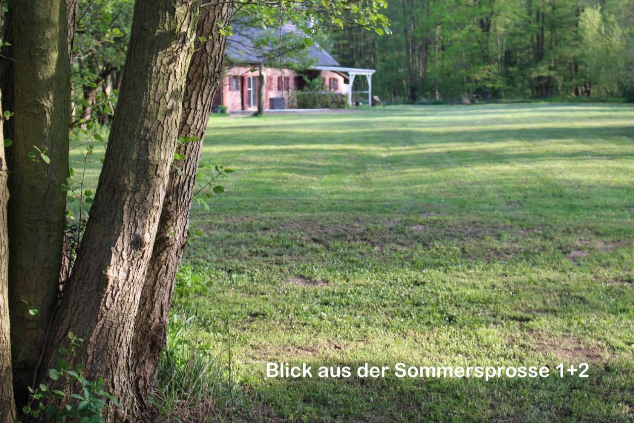 Sommersprosse Burg  Exteriér fotografie
